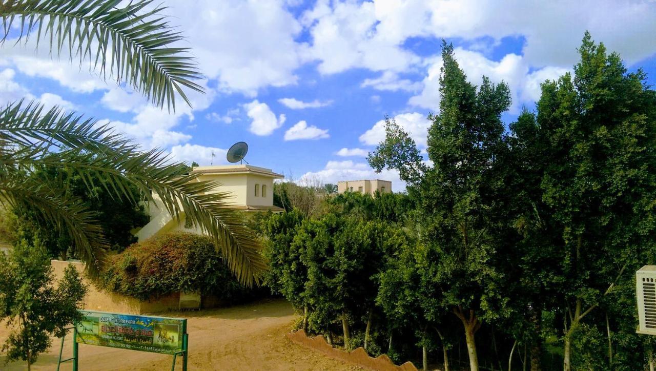 The Farm - Hotel & Horse Riding Kahire Dış mekan fotoğraf