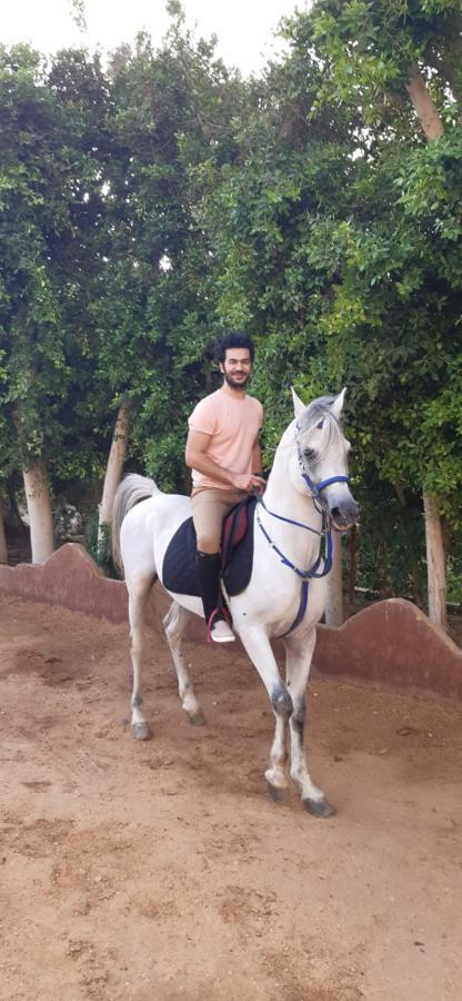 The Farm - Hotel & Horse Riding Kahire Dış mekan fotoğraf