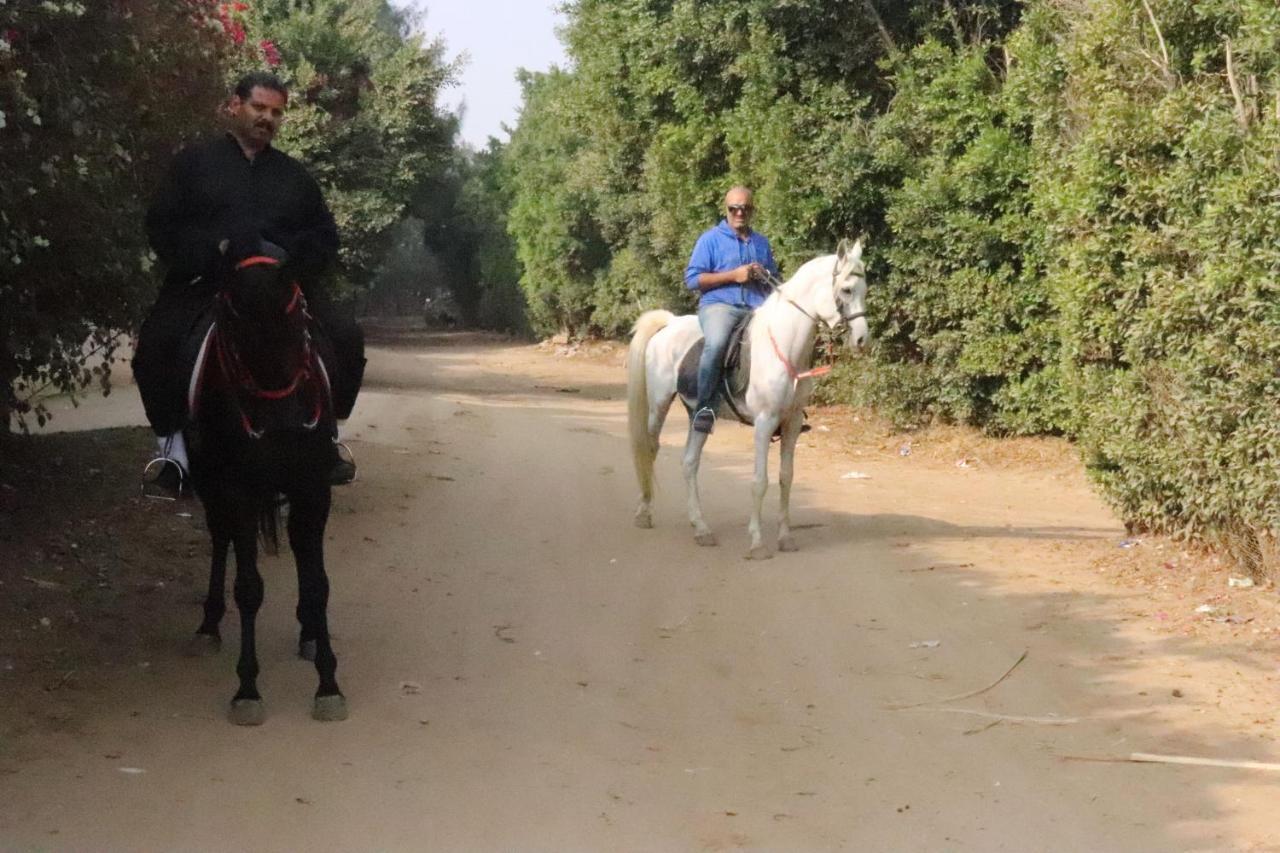 The Farm - Hotel & Horse Riding Kahire Dış mekan fotoğraf