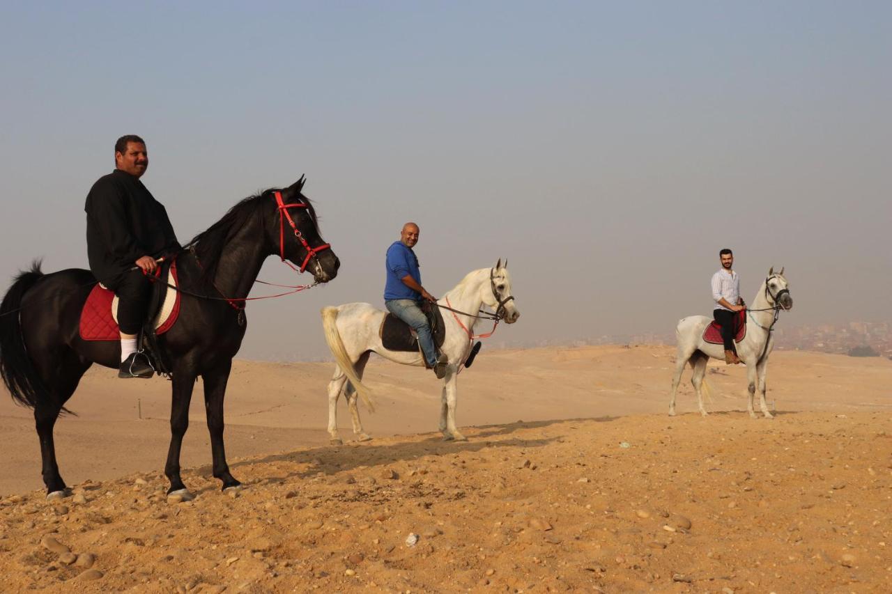 The Farm - Hotel & Horse Riding Kahire Dış mekan fotoğraf