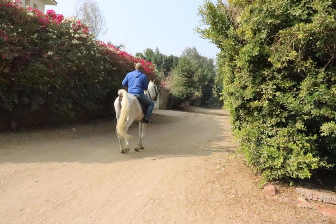 The Farm - Hotel & Horse Riding Kahire Dış mekan fotoğraf